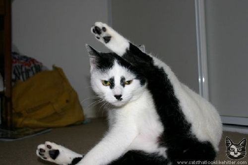 kitler1692.jpg