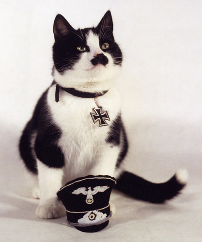 [Image: kitler30.jpg]