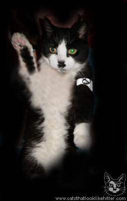 kitler4967.jpg