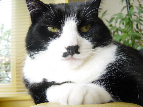 Kitler928